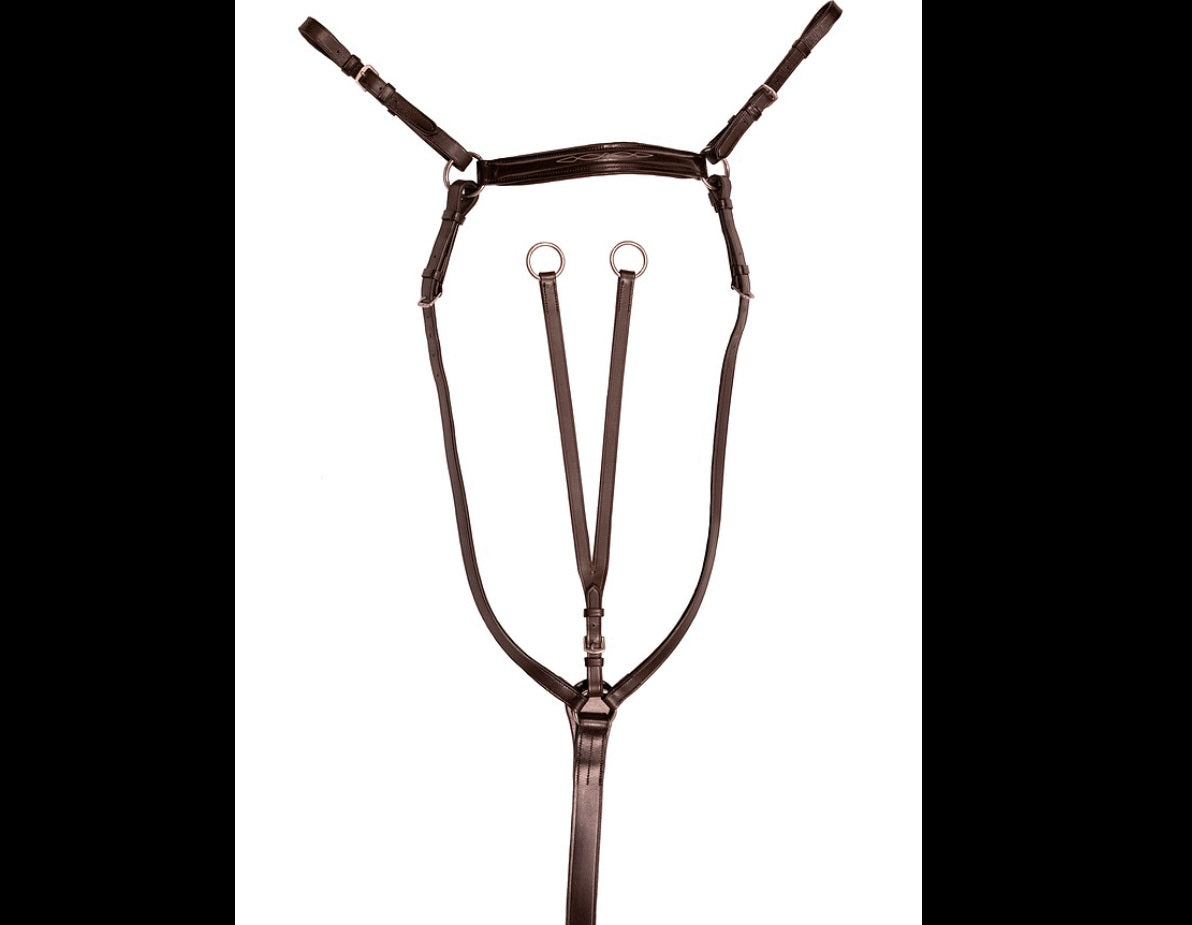 Martingales