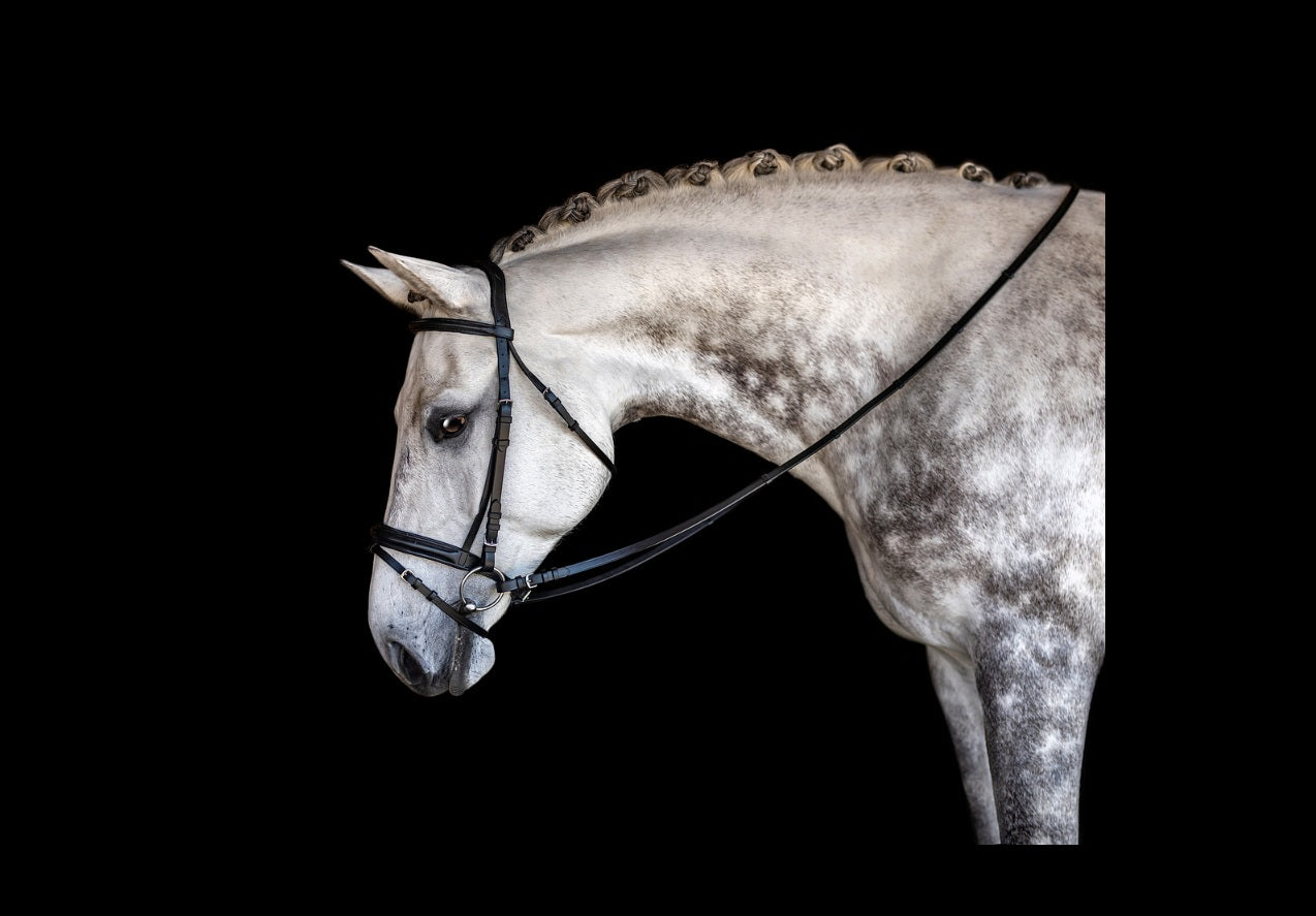 Bridles