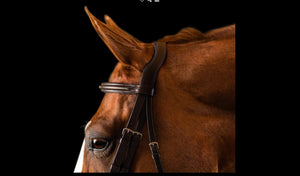 Fancy Stitched Padded Snaffle Bridle
