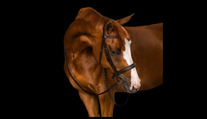 Fancy Stitched Padded Snaffle Bridle