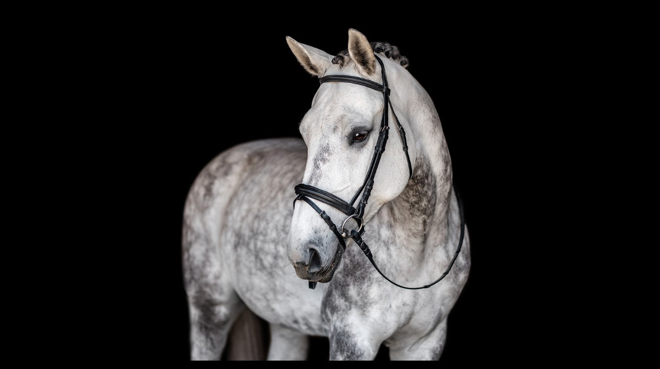 Comfort Crown Padded Snaffle Bridle