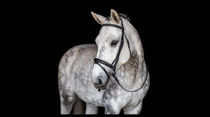 Comfort Crown Padded Snaffle Bridle