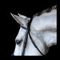 Comfort Crown Padded Snaffle Bridle