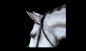 Comfort Crown Padded Snaffle Bridle