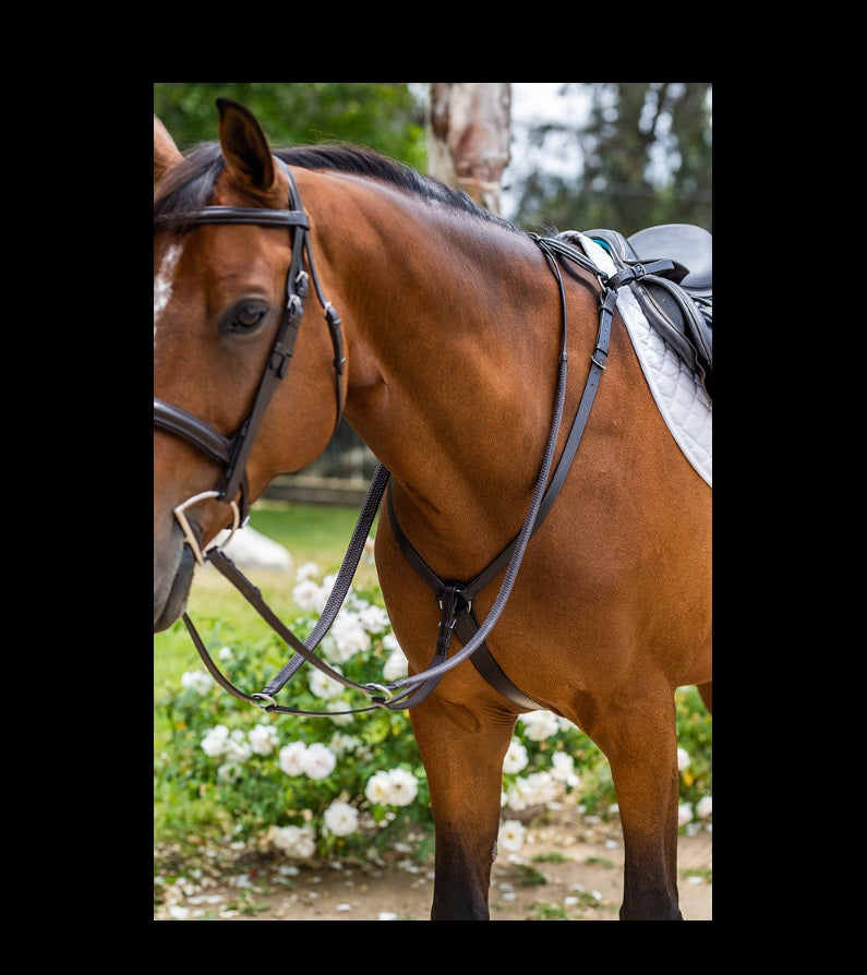 Fairhaven Padded Breastplate with Running Attachment