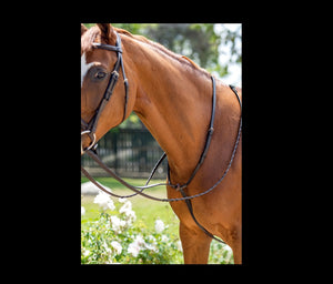 Fairhaven Plain Raised Standing Martingale