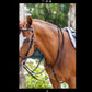 Fairhaven Plain Raised Standing Martingale