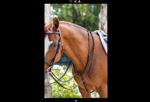 Fairhaven Plain Raised Standing Martingale
