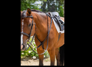 Fairhaven Padded Breastplate with Standing Attachment