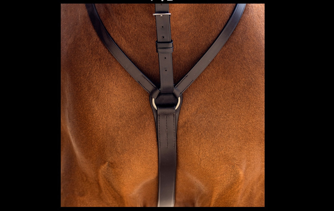 Fairhaven Padded Breastplate with Standing Attachment