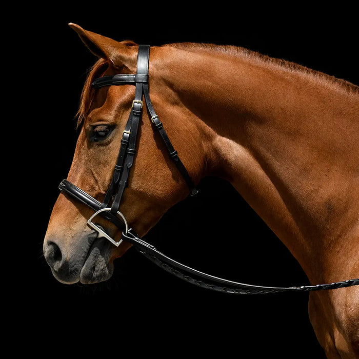 Fairhaven Padded Fancy Stitched Raised Bridle Fairhaven Equestrian