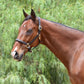 Fairhaven Fancy Stitched Leather Halter