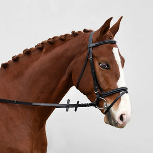 Fairhaven Plain Raised Bridle with Flash