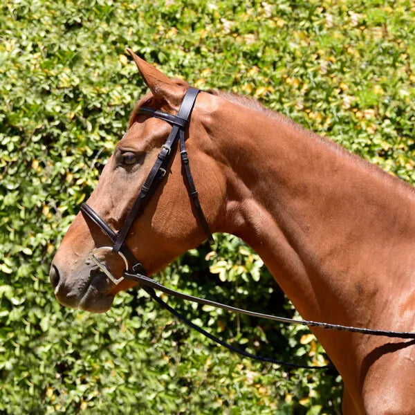 Fairhaven Plain Raised Snaffle Bridle