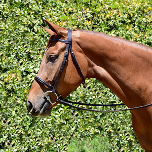 Fairhaven Plain Raised Snaffle Bridle